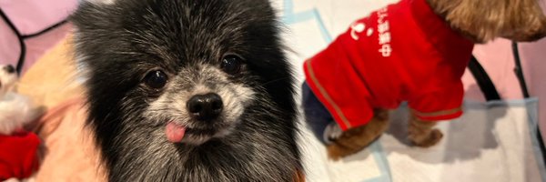 JawsTokyo Profile Banner