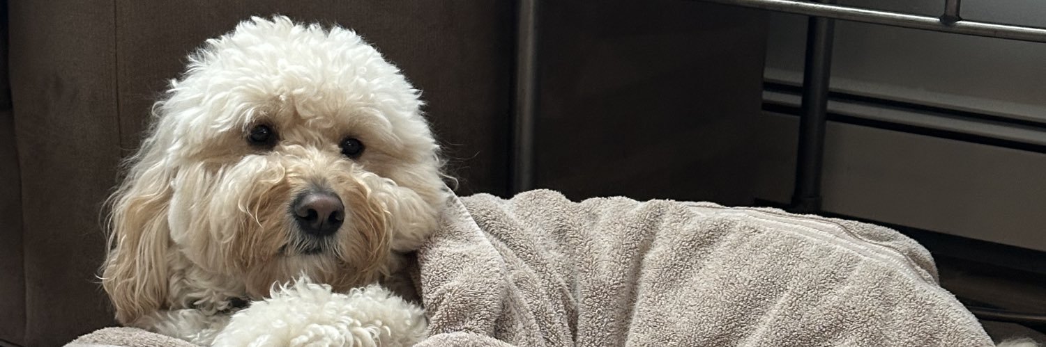 jeff berkowitz banner