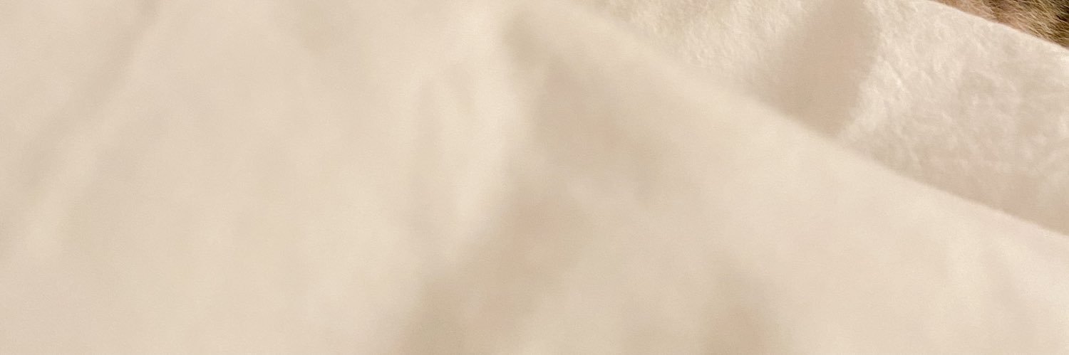 bbjcfern's profile banner image