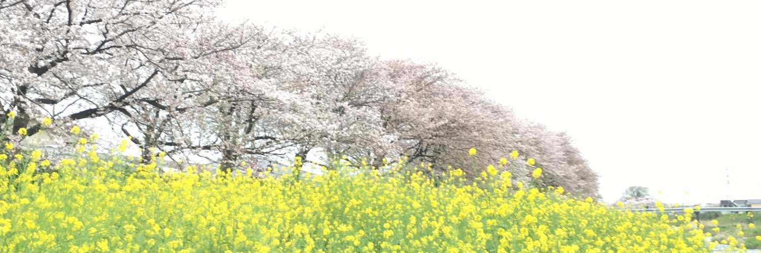 matocochin's profile banner image