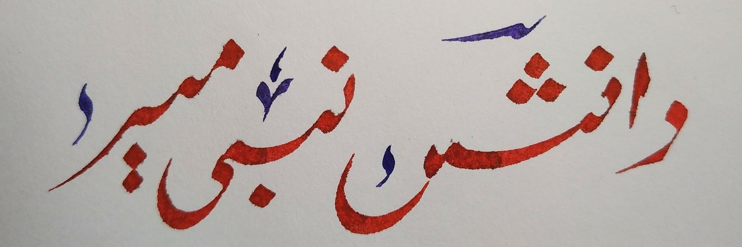 danyshmir's profile banner image