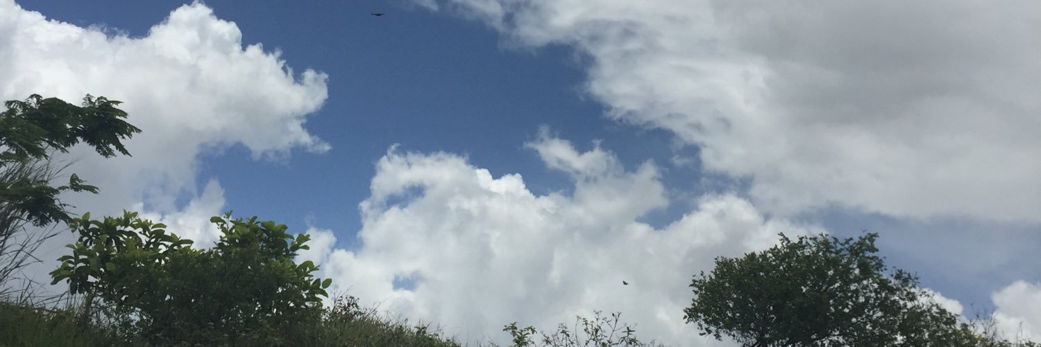 HananALsehli's profile banner image