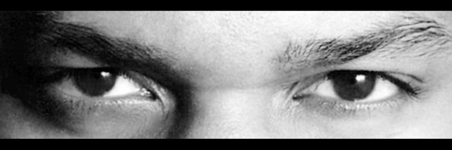 Mr. Holipsism banner