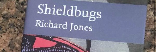 bugmanjones Profile Banner