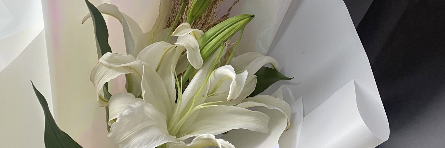 caryyllx's profile banner image