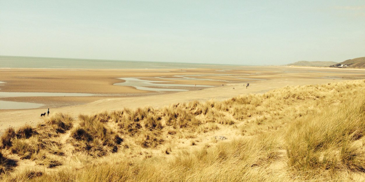 Manon Edwards Ahir banner