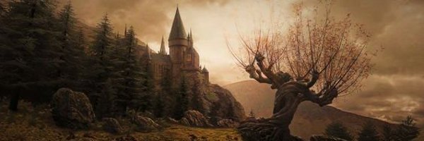 BooyAndy Profile Banner