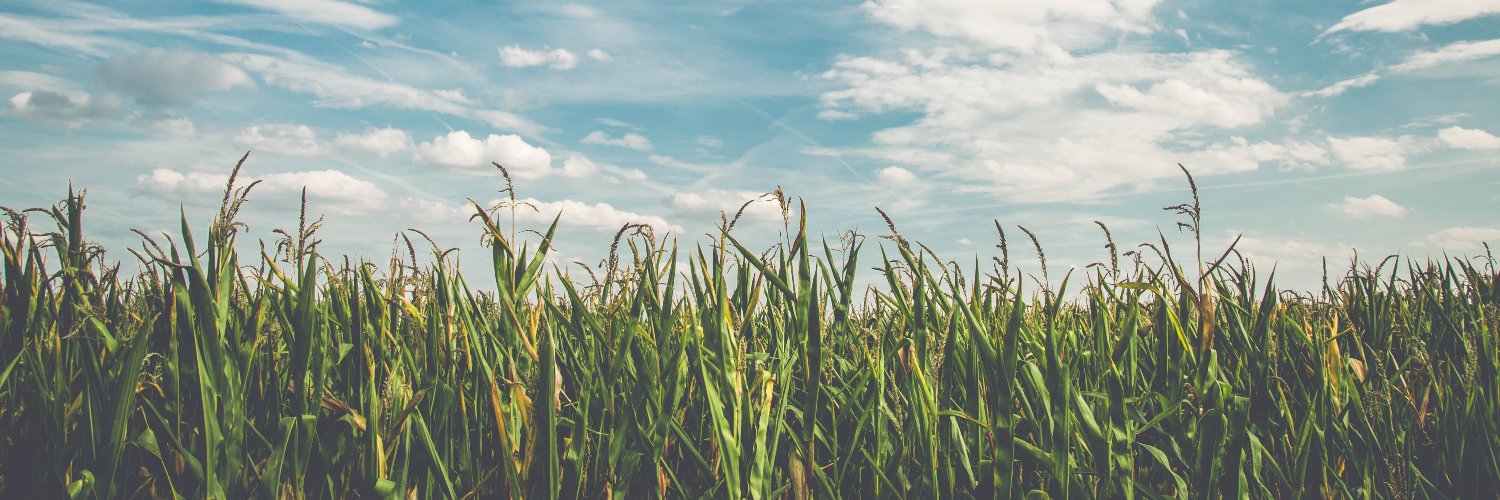 Marta Bignone banner