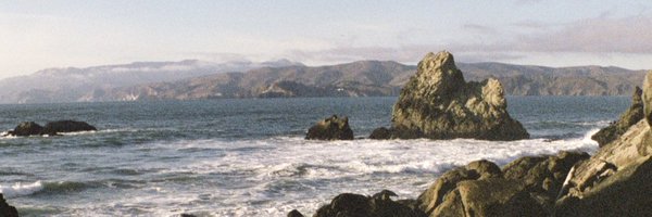 anyaviolet Profile Banner