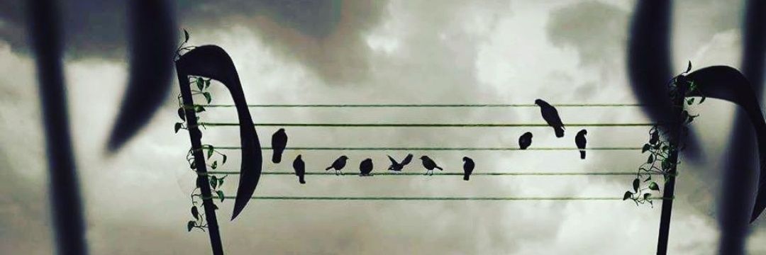 BLMZLM's profile banner image