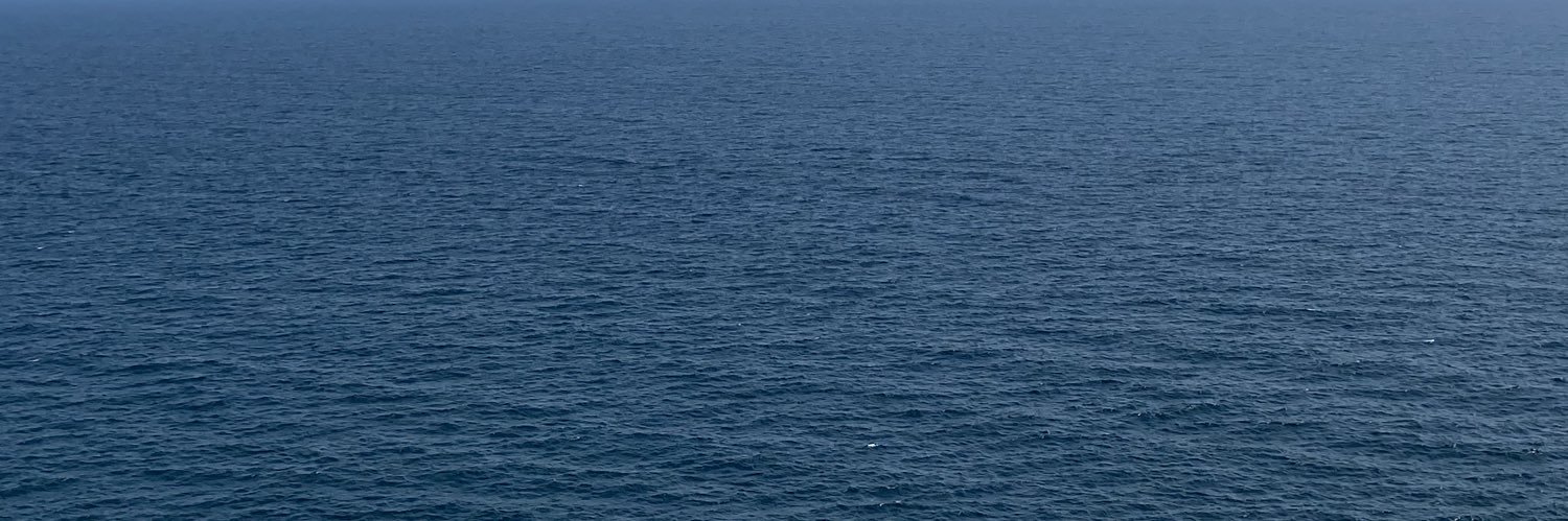 MsShelena's profile banner image
