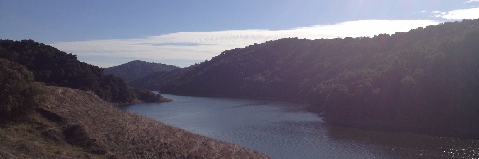 Peter Schurman banner