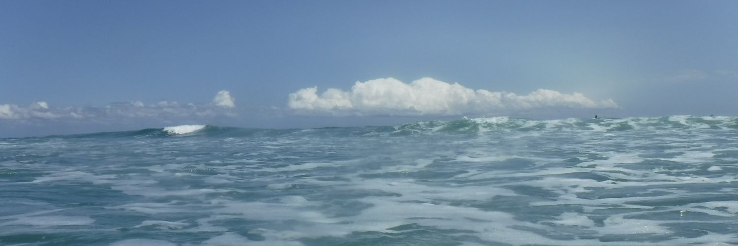 float_fuji_sup's profile banner image