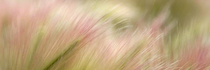 쎈! banner