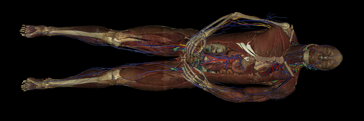 Touch of Life Technologies banner