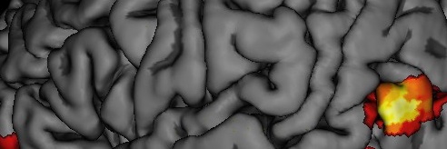 neuralNoise's profile banner image
