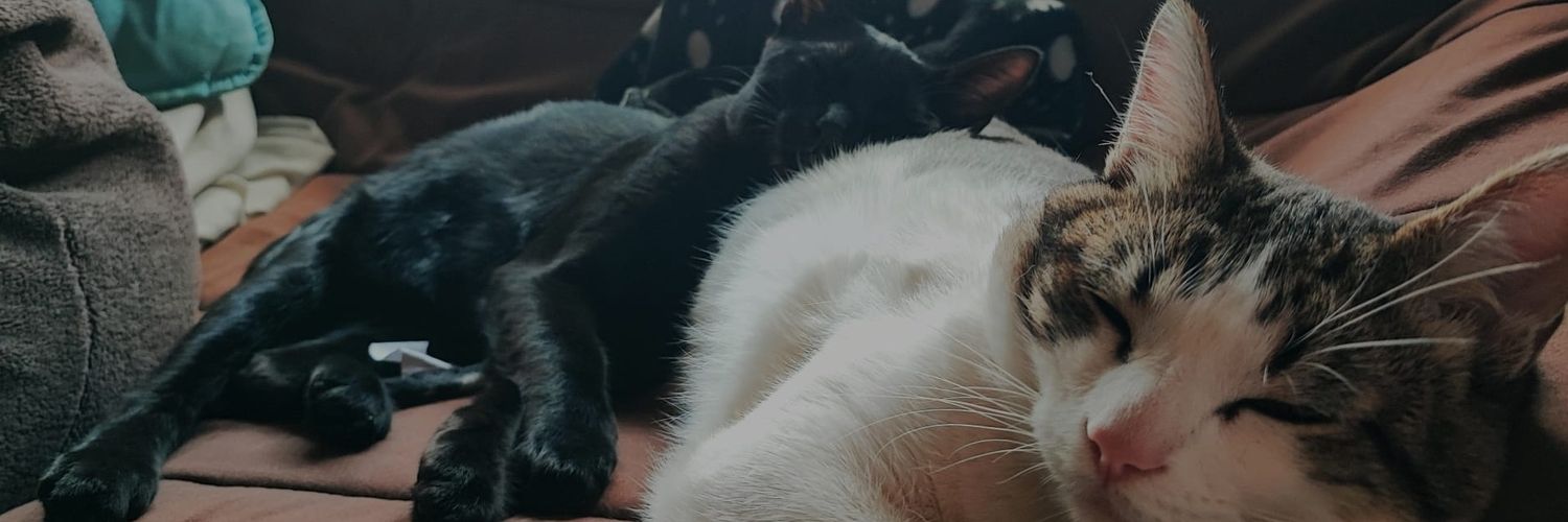 AmanteDaVoz's profile banner image