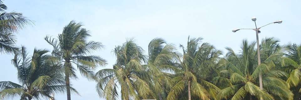 andry_h's profile banner image
