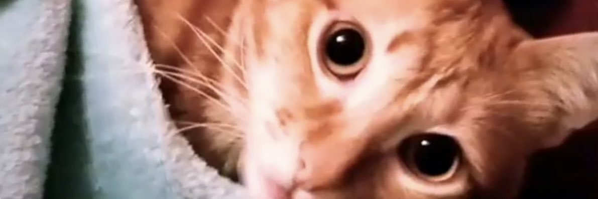 RubeNiNMC's profile banner image