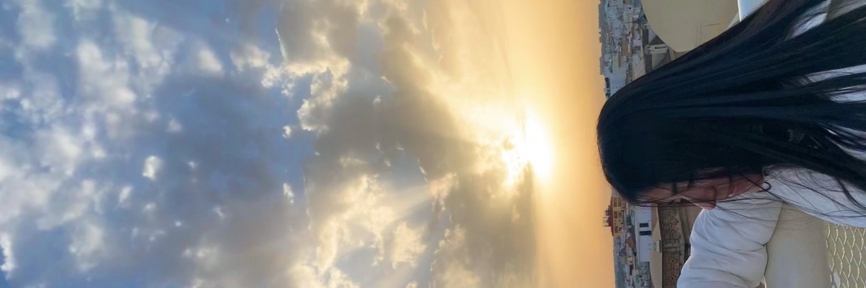 MissLacra's profile banner image