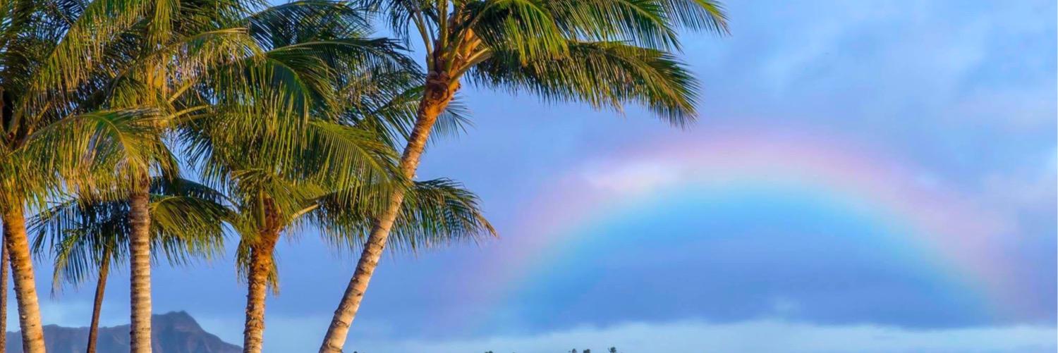 Amy Yakubovsky banner