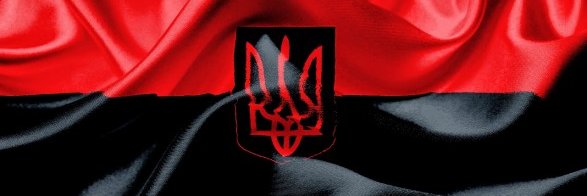 arwigrindi's profile banner image