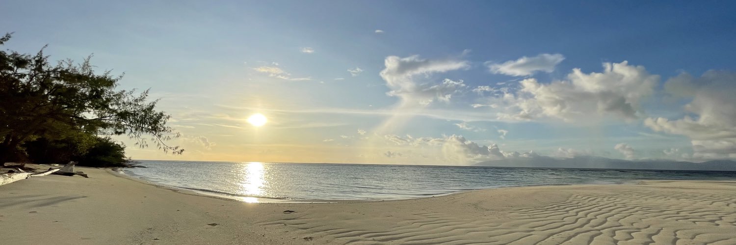 CJNiara's profile banner image