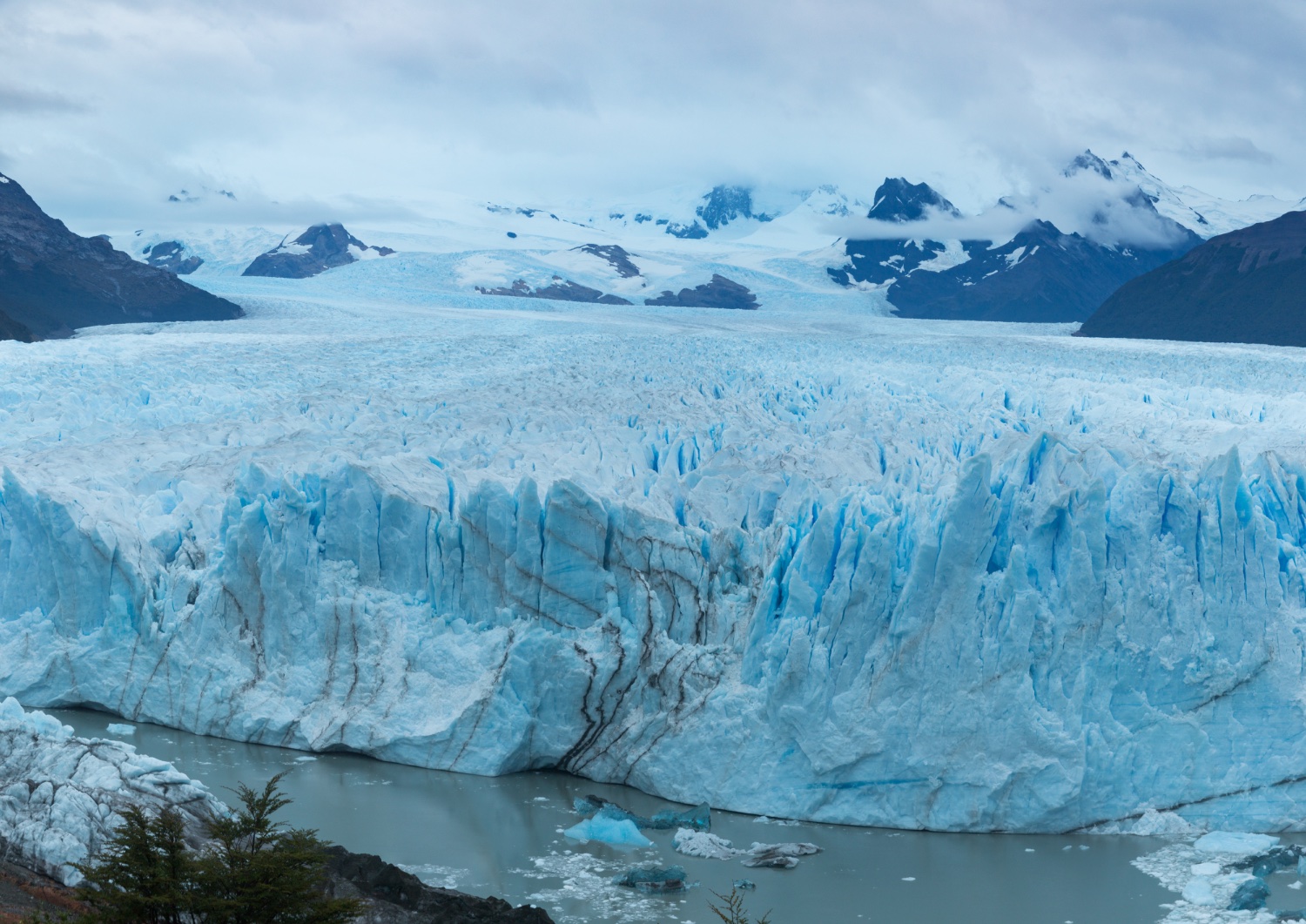 Stephen Diephuis banner