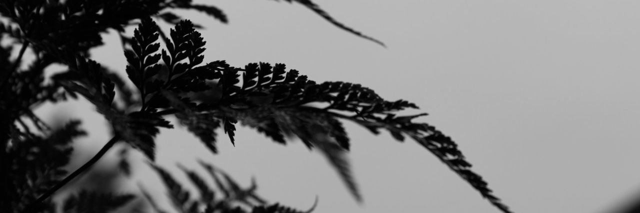 NemNemNight's profile banner image