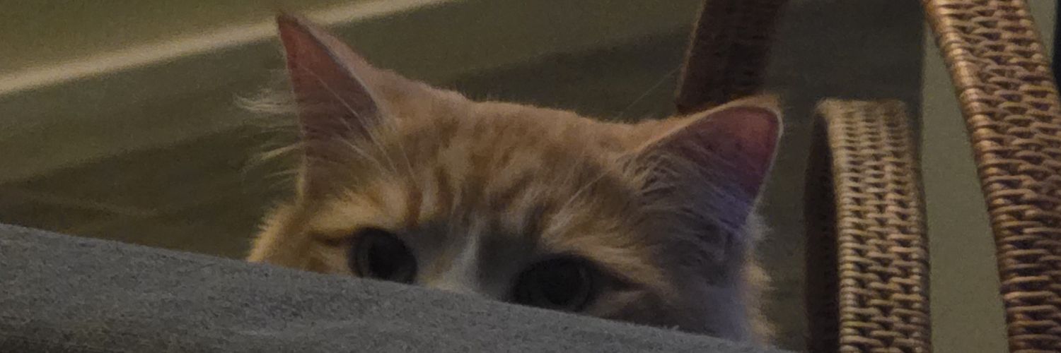 KarenMalam's profile banner image