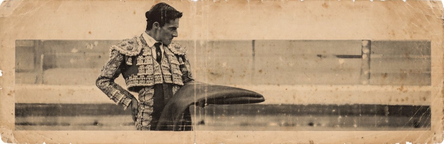 Diego Urdiales banner