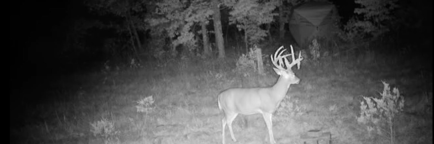 MOHunter314's profile banner image