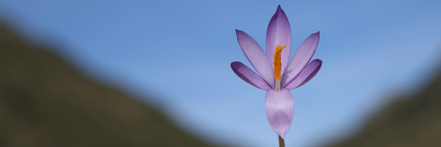 IgersAndorra's profile banner image