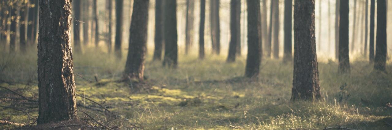 Emiiliits's profile banner image