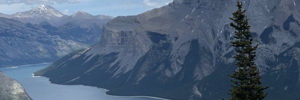 ALowsyPlayer17 Profile Banner