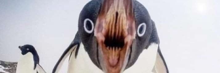 CensorceryInk banner