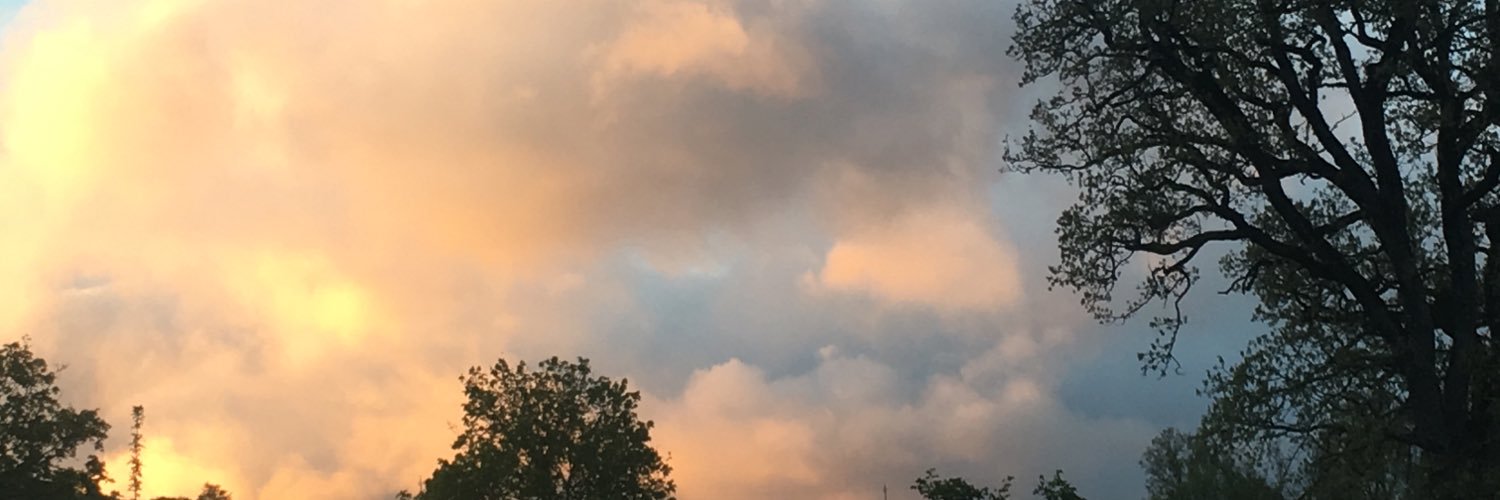 lorenzococcia's profile banner image