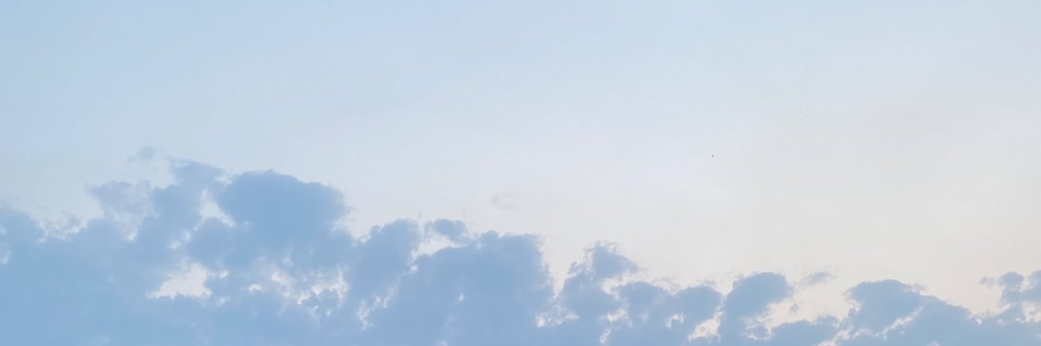 delia597's profile banner image