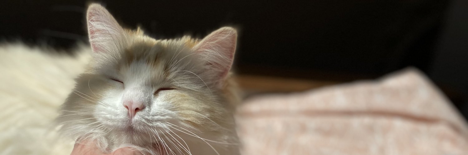 charmingkeer's profile banner image