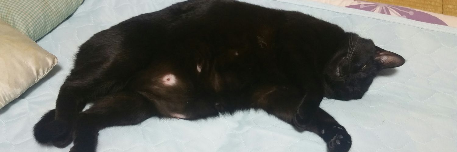 milys_LILITH's profile banner image