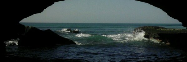 speegled Profile Banner