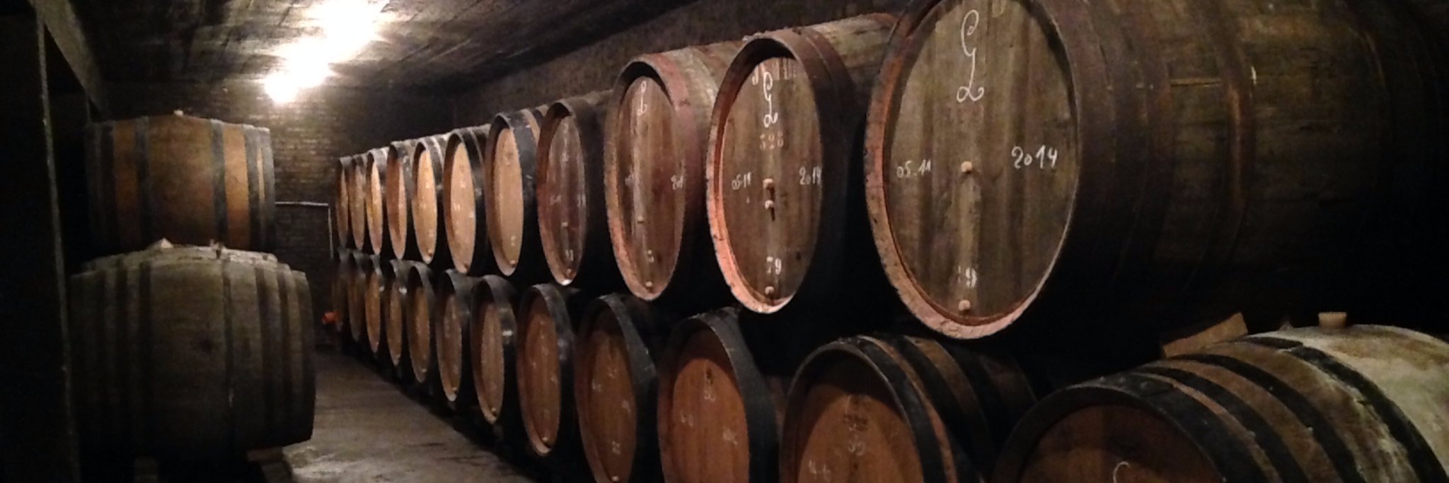 Little Beast Brewing banner