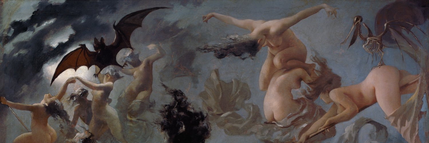msmisandry's profile banner image