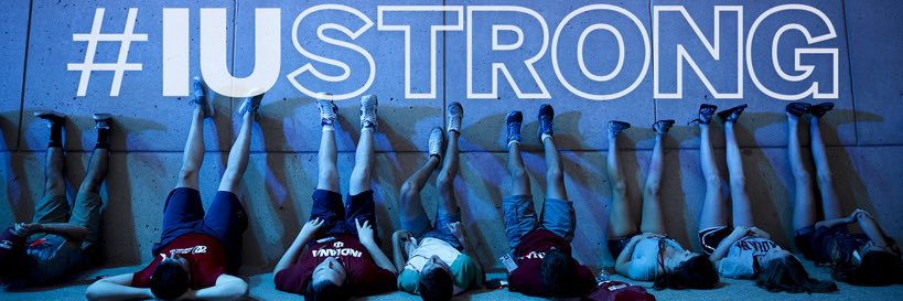 Indiana Diversity banner