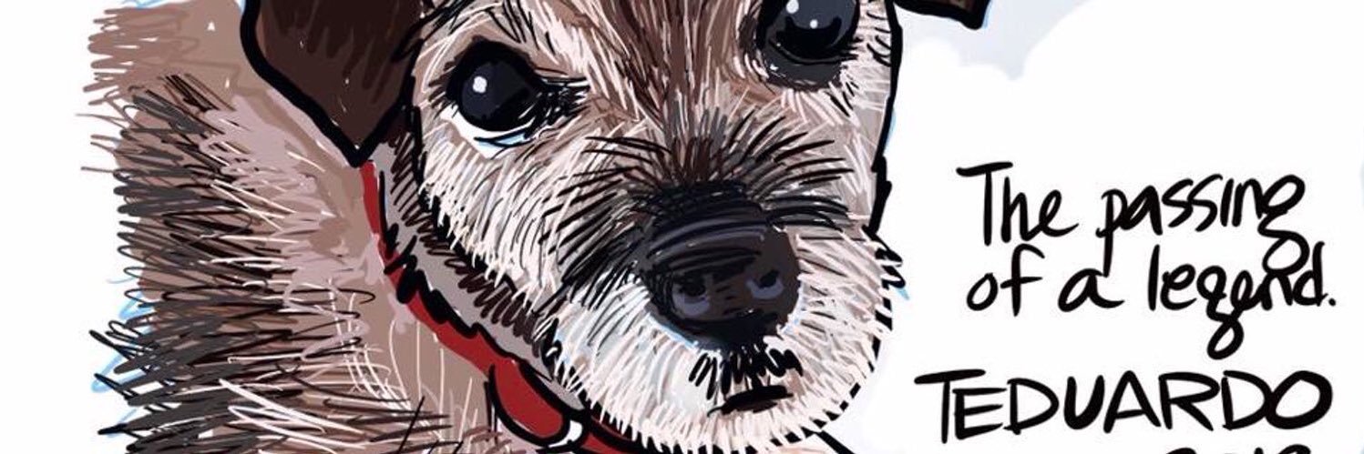 Ted aka Teduardo 2005-2019 🌈 banner
