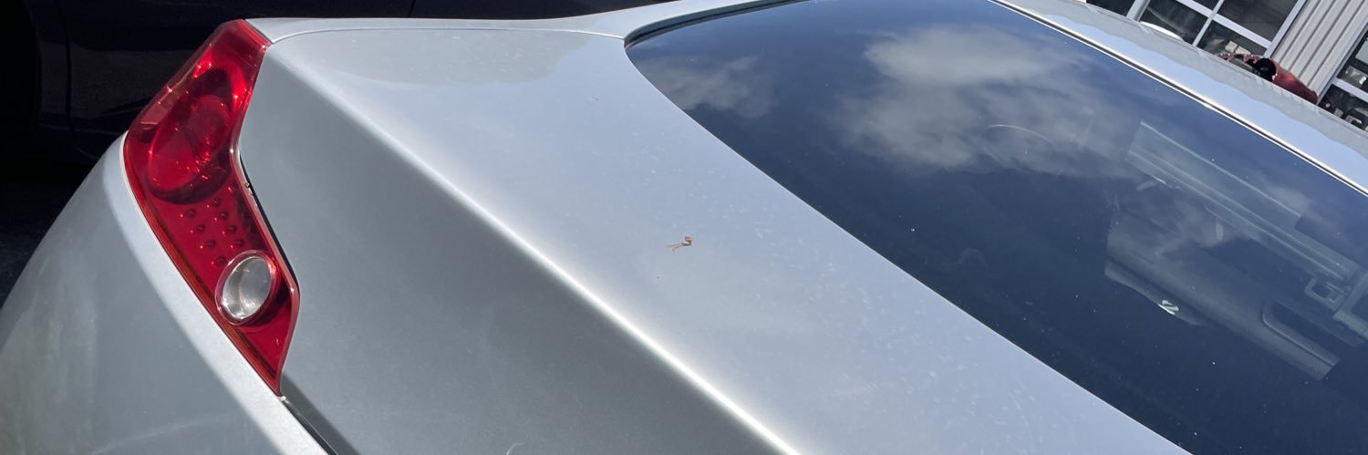 ysk9960's profile banner image
