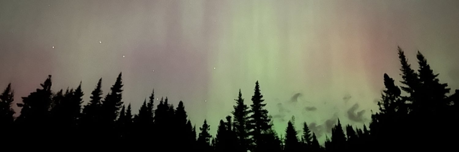 KellyyParrott's profile banner image