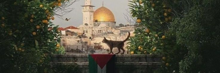 Zayd 🇵🇸 banner