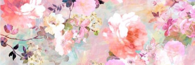 15petkovaf's profile banner image