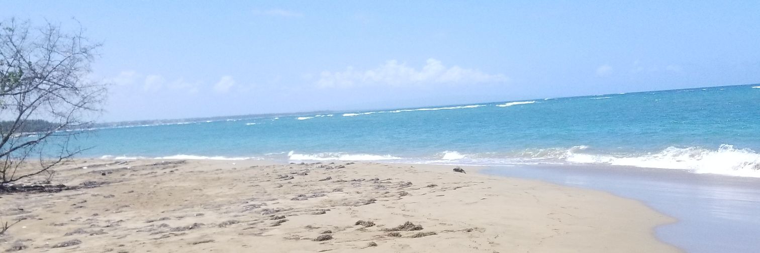 OrlandoJM09's profile banner image